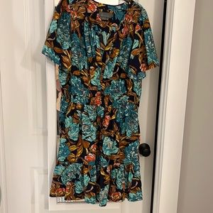 Anthropology sommerset mini